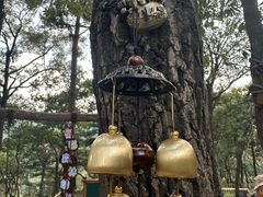 -沂蒙山旅游区云蒙景区(蒙山国家森林公园)