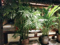 -丹江渔村(首都机场店)
