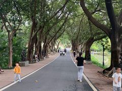 -广州雕塑公园