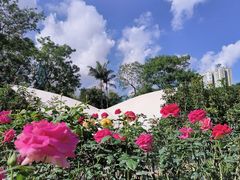 -人民公园(罗湖区)