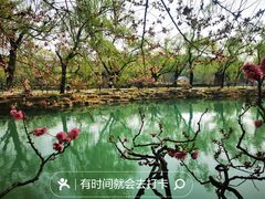 -颐和园