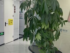 -卫雅仕口腔