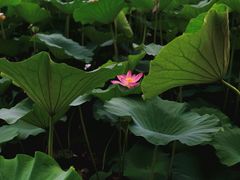 -长春市南湖公园