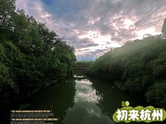 -西溪国家湿地公园