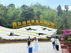 -西双版纳原始森林公园