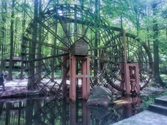 -波尔登森林公园
