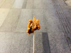招牌炸排骨-傅强排骨(成都总店)