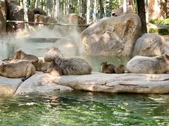 -北京野生动物园