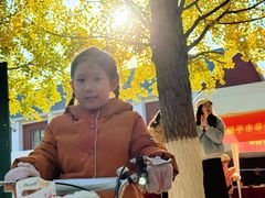 -辽宁大学(崇山校区)