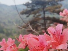-木兰云雾山