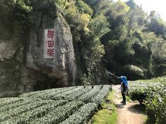 -十九峰景区-倒脱靴