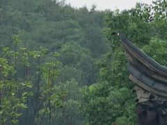 -东钱湖小普陀景区