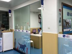 -宠颐生猫科·内科皮肤科(西平世纪城店)