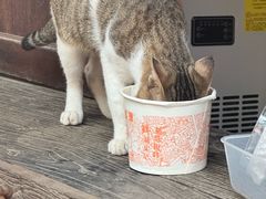 -61号餐吧(兴坪古镇漓江店)