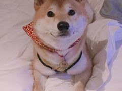 -鱼酷活鱼烤鱼(北美店)