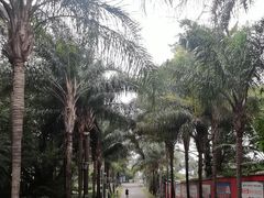 -北海市海滨公园