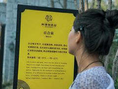 -深业半汤御泉庄温泉