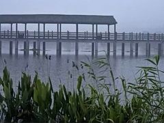 -石塘人家