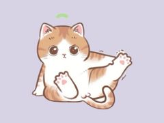 -翊宠yipet猫狗购宠庄园犬舍•猫舍