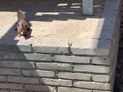 -百里峡七彩艺术小镇