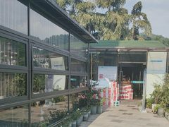 -先机泉水鸡汤(南山老君洞店)