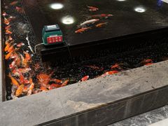 -弘安丽水温泉酒店