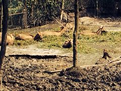 溱湖国家湿地公园-溱湖国家湿地公园