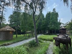 -溱湖国家湿地公园