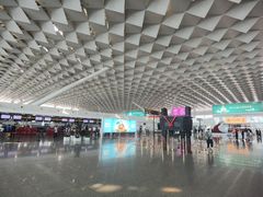 -郑州新郑国际机场-T2航站楼