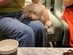 -Home Cafe(水榭春天店)