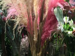 -植物学家的女儿(北马道巷店)