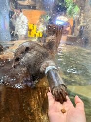 -Zoolung Zoolung动物主题公园(海信广场店)