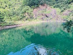-大奇山国家森林公园