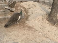 -唆了蜜团建·趣味沉浸式剧情·蹦床轰趴运动拓展基地(天津旗舰店)