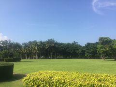 -万绿园