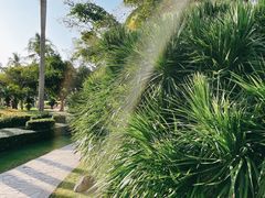 -大堂酒廊·亚龙湾万豪度假酒店