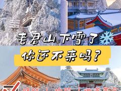 -一记洛阳菜·糖醋小排·水席(十字街店)