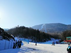 -亚布力新体委滑雪场
