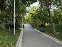 -青枫公园