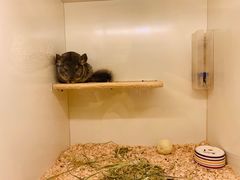 -龙猫仔乐园(惠福东路店)