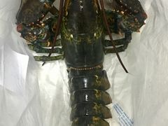 波龙-物美超市(金宝街店)