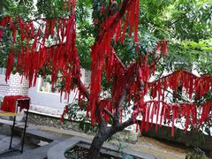 -小洲村
