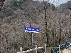 -王顺山国家森林公园