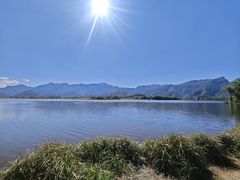 -大九湖