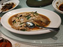鸦片鱼-丽苑大酒店