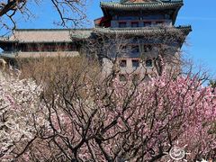 -北京明城墙遗址公园