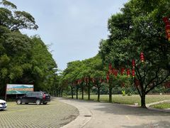 -广州市石门国家森林公园