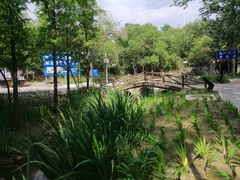 -白水寺森林公园