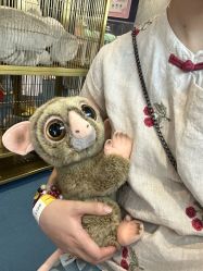 -奈尔宝家庭中心·亲子餐厅(鄞州万达店)