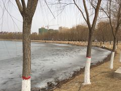 -香山公园